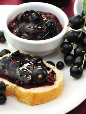 Porzeczka czarna Titania na pniu w doniczce