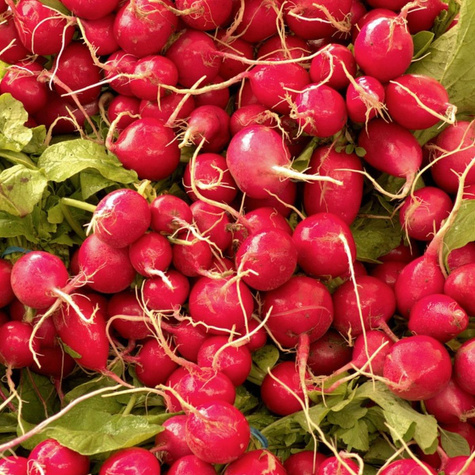 Rzodkiewka kulista Helro-Era 10g