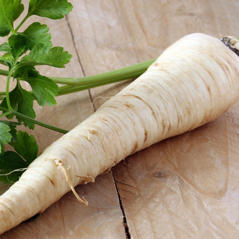 Pietruszka korzeniowa Ołomuńcka późna 5g