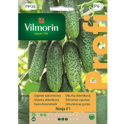 Ogórek Ninja F1 12 ziaren