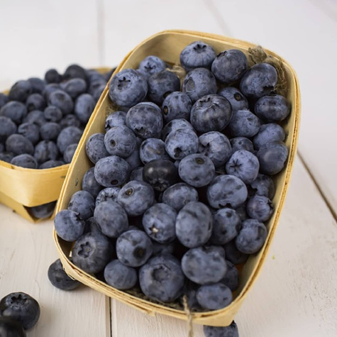 Borówka amerykańska wysoka Bonifacy średnio wczesna