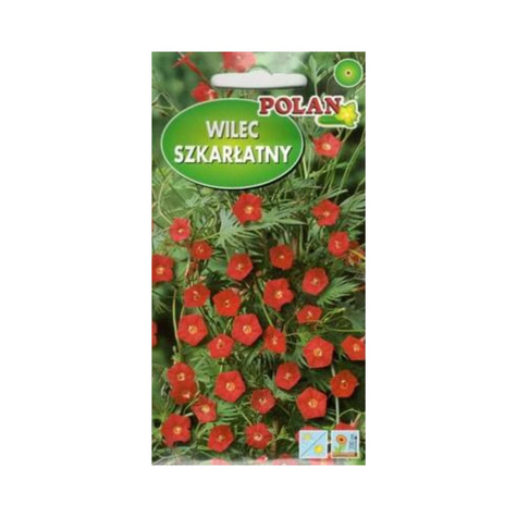 Wilec szkarłatny 1g Polan