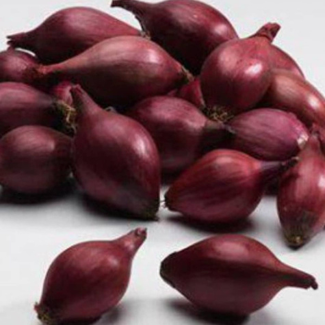 Cebula dymka czerwona 0,25kg