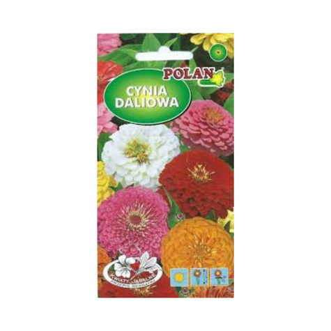 Cynia daliowa mix kolorów 1g Polan