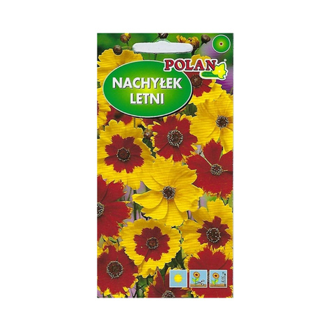 Nachyłek letni zestaw kolorów 2g