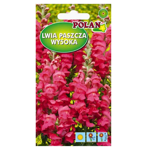 Lwia paszcza wysoka Samuraj różowa 0,5g