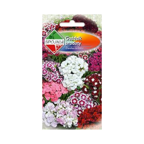 Goździk brodaty mix 1g