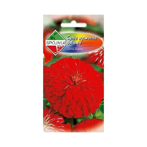Cynia wytworna daliowa czerwona 1g Spójnia