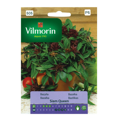 Bazylia tajska Siam Queen cynamonowo-anyżkowy zapach 0,5g