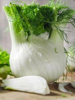 Koper włoski Fenkuł Romanesco 1,5g