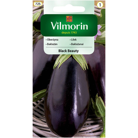 Oberżyna Bakłażan Black Beauty 2g