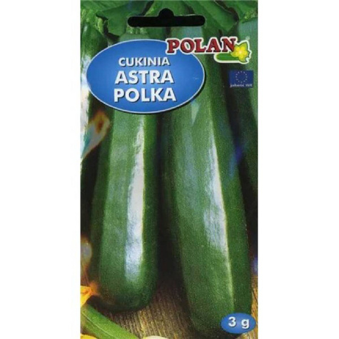 Dynia zwyczajna Cukinia ASTRA POLKA 3g