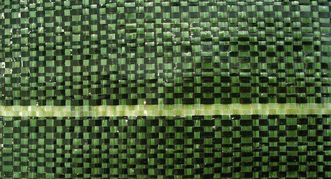 Agrotkanina Mata zielona 1x100m (94g) Polska