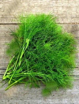 Koper ogrodowy Szmaragd średniopóźny 100g