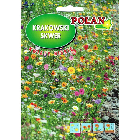 Mieszanka kwiatów Krakowski Skwer Kwiaty niskie 20g