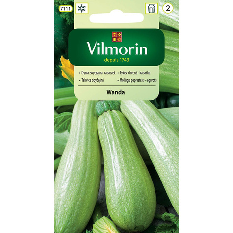 Dynia zwyczajna Kabaczek Wanda 2g