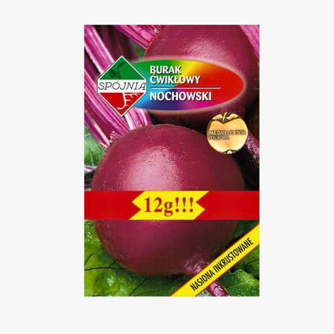 Burak ćwikłowy Nochowski 12g