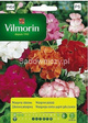 Pelargonia rabatowa mix 10szt