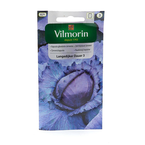 Kapusta głowiasta czerwona Langedijker Dauer 3 późna 2g