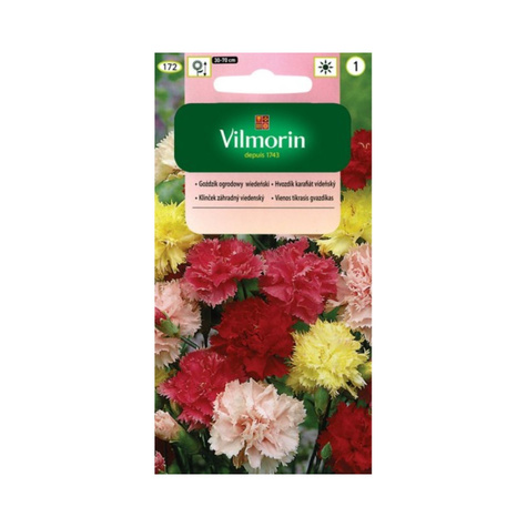 Goździk ogrodowy Wiedeński mix 0,5g