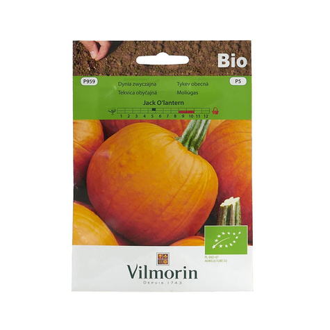 Dynia zwyczajna olbrzymia Jack O'Lantern BIO 3g