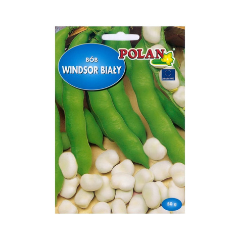 Bób WINDSOR BIAŁY średniopóźny 50g