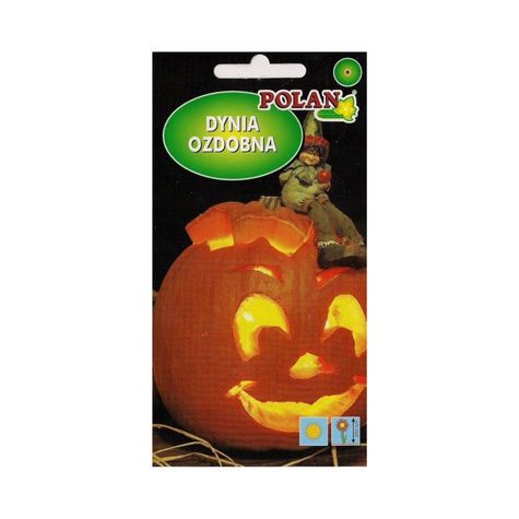 Dynia ozdobna Halloween pomarańczowa 3g