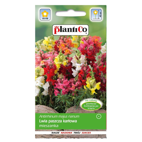 Wyżlin Lwia Paszcza karłowa mieszanka 0,5 g Plantico