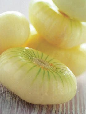 Cebula żółta Borettana włoska 2g