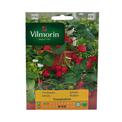 Truskawka zwisająca TEMPTATION - 0,02 g