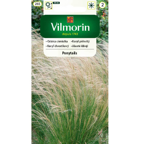 Ostnica cieniutka Pony Tail nasiona 0,1g
