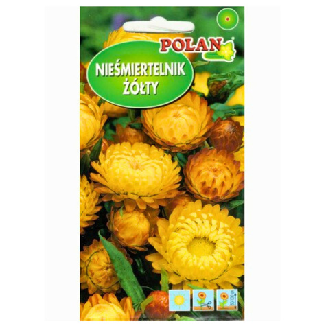 Nieśmiertelnik/ Kocanka żółta 2g