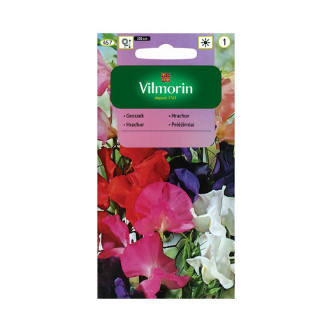 Groszek pachnący mix 5g Vilmorin