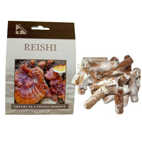 Grzybnia na kołkach Lakownica lśniąca Reishi 20szt