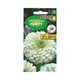 Cynia daliowa Purity biała 1,2g Polan