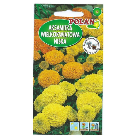 Aksamitka niska pełna wielkowiatowa mix kolorów 0,5g