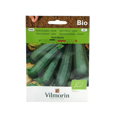 Dynia zwyczajna Cukinia Black Beauty BIO nasiona ekologiczne