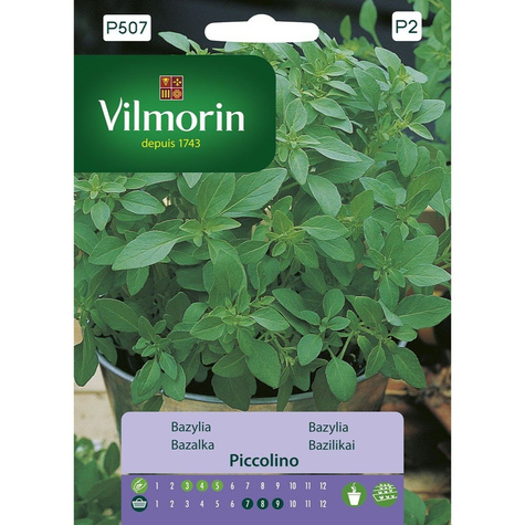 Bazylia Piccolino idealna do pesto 1g