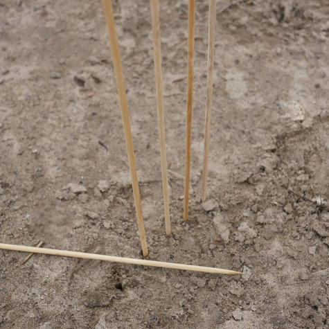 Tyczka bambusowa obrabiana dł. 60cm, gr. 6mm