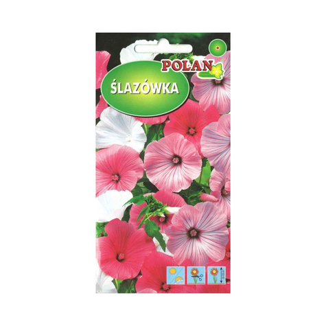 Ślazówka ZESTAW KOLORÓW 1G