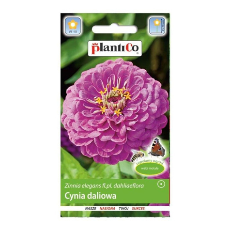 Cynia daliowa lawendowa 1g