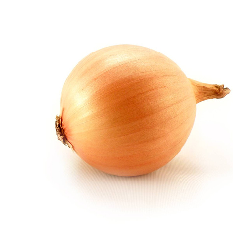 Cebula Rhino F1 1,5g