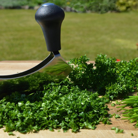 Pietruszka naciowa liściowa Gigante de Italia 5g