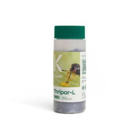Dziubałeczek wielożerny Thripor-L 500 100ml  