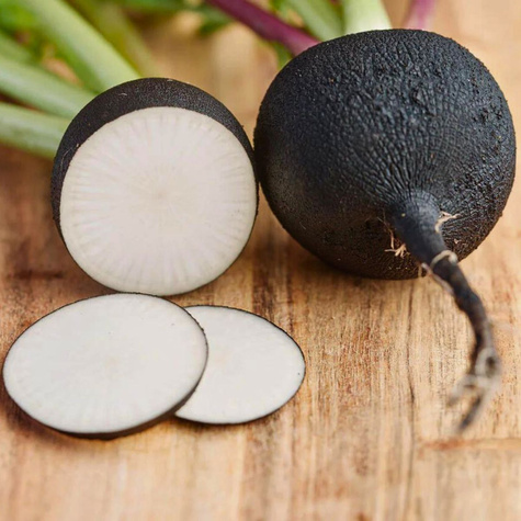 Rzodkiew Murzynka Black późna 10g