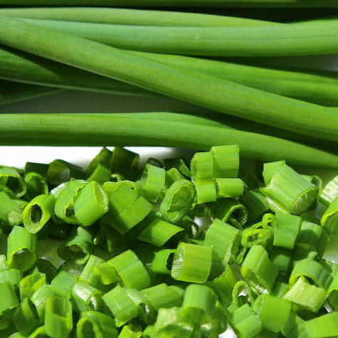 Szczypiorek Jowisz odporny 2g