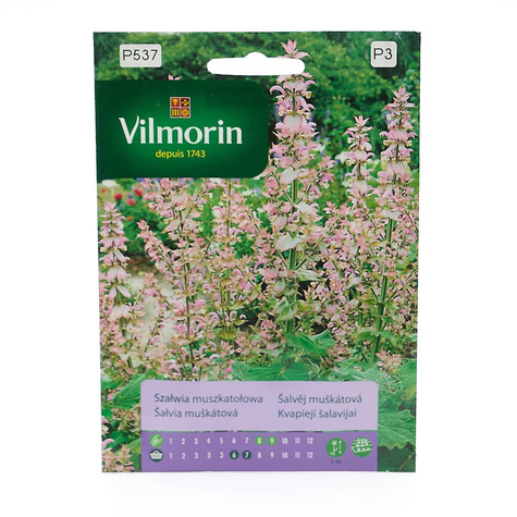 Szałwia muszkatołowa 1g