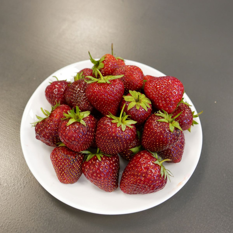 Truskawka Murzynek deserowa FRIGO