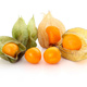 Rodzynek Brazylijski Physalis peruviana Miechunka 0,2g