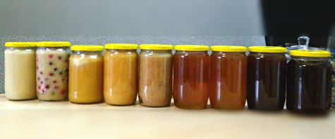 Miody z Kurpi GRYCZANY 1000g Pasieka Pawła